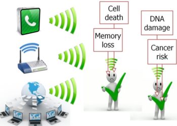 Elektromanyetik Dalgalar ile Çalışan Wifi Cihazların İnsan Sağlığına Etkisi