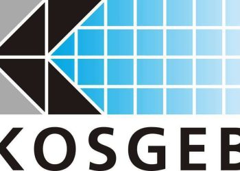 KOSGEB Kredilerinin % 65’i Hatalı