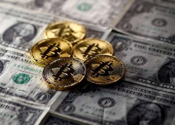 2020 ABD Başkanlık Seçimi Adaylarından Birisi Kripto Para Bağışları Kabul Edeceğini Açıkladı