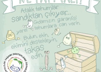 Yerel Tohumlarla İlgili Düzenlemenin Getirdiği Yenilikler, Sorunlar ve Belirsizlikler
