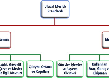 Bilişim Sektöründe Mesleki Yeterlilik Çalışmalarının Son Durumu – I