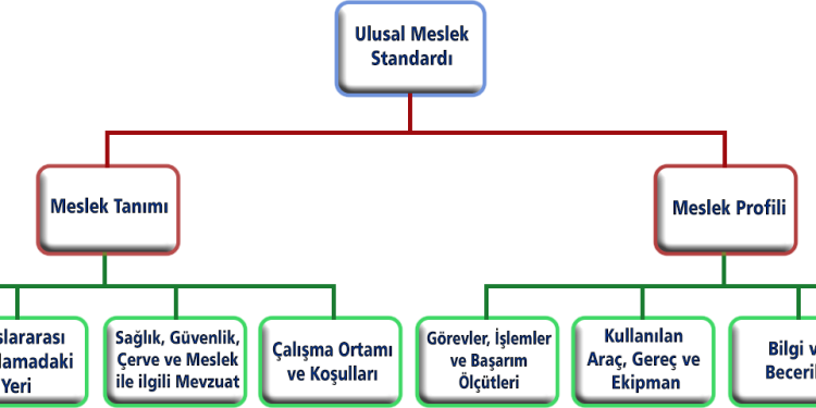 Bilişim Sektöründe Mesleki Yeterlilik Çalışmalarının Son Durumu – I