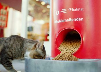 Tweet Atınca Sokak Hayvanlarına Mama Veren Makineler İstanbul Geneline Yayıldı