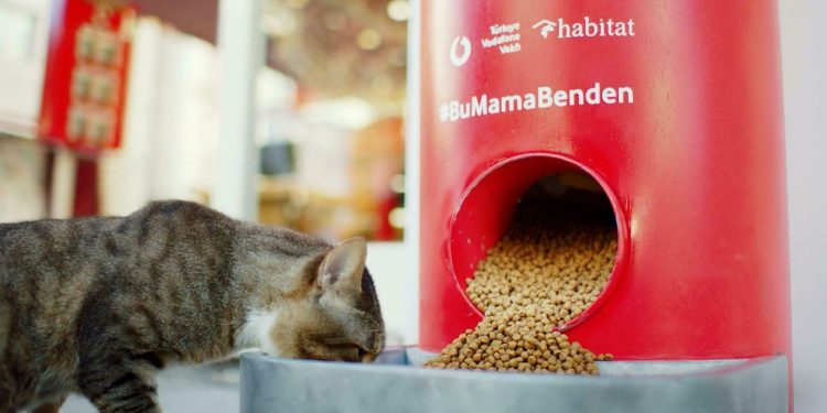 Tweet Atınca Sokak Hayvanlarına Mama Veren Makineler İstanbul Geneline Yayıldı