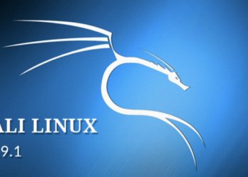 Hackerlar İçin İşletim Sistemi “Kali Linux 2019.1” Yayınlandı