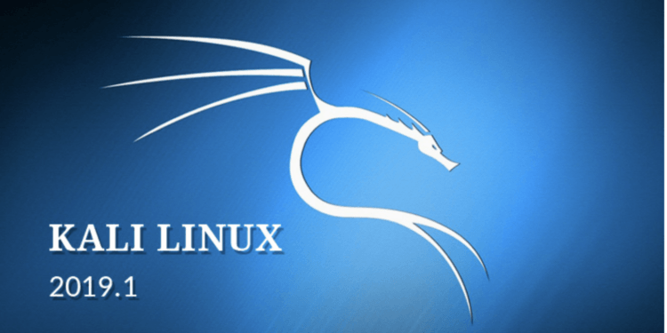 Hackerlar İçin İşletim Sistemi “Kali Linux 2019.1” Yayınlandı