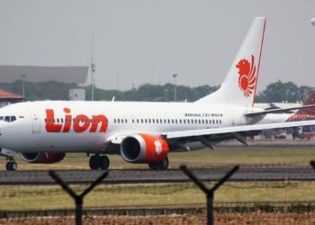 Boeing 737 Max için Yazılım Güncellemesi Duyurdu Ama Sorun Bitti mi?