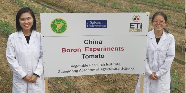 Sabancı Üniversitesi Dünyaya Yeni bir Bor Mineralini Tanıtıyor