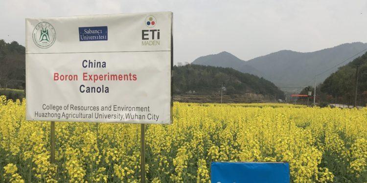 Sabancı Üniversitesi Dünyaya Yeni bir Bor Mineralini Tanıtıyor