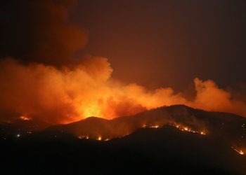 5 Yılda Çıkan 10.130 Orman Yangınının 5.862’sinin Çıkış Nedeni Aydınlatılamamış