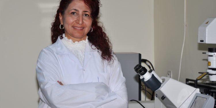 Maltepe Üniversitesinde Yapay Zeka ile Karaciğer Kanseri tedavisi Araştırılıyor