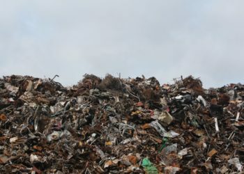 Kanadalı ve Türk Bilim İnsanlarından Tehlikeli Kirleticileri Gidermek İçin İş Birliği