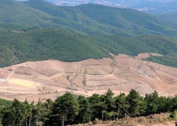TEMA Vakfı’ndan Siyasi Parti ve STK’lara çağrı : Kaz Dağları Siyaset Üstü Tutulmalıdır