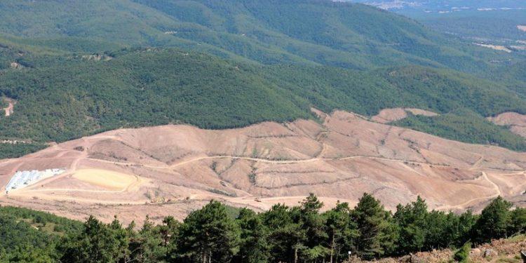 TEMA Vakfı’ndan Siyasi Parti ve STK’lara çağrı : Kaz Dağları Siyaset Üstü Tutulmalıdır
