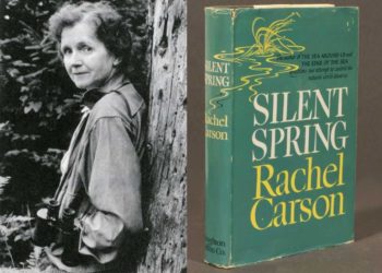 Kaz Dağları ve “Silent Spring”