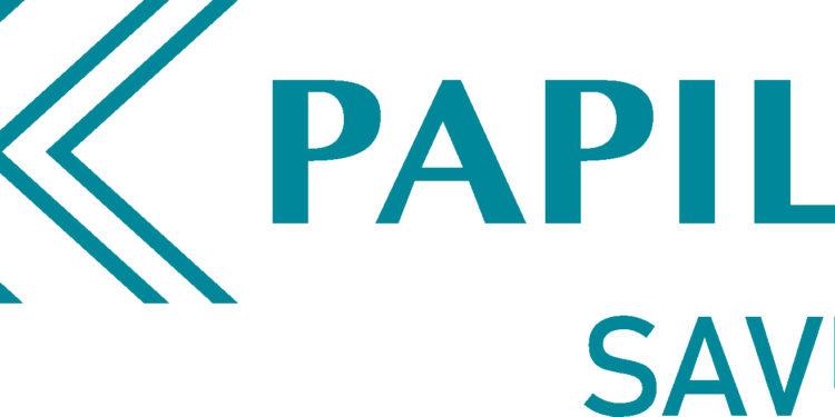 Papilon Savunma Halka Arz Oluyor