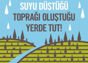 TEMA Vakfı: Suyu Düştüğü, Toprağı Oluştuğu Yerde Tut