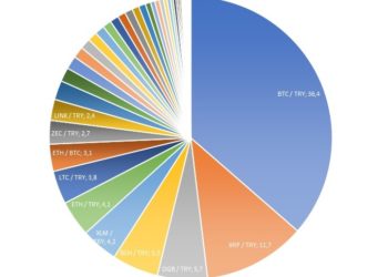 İşte Kripto Dünyasının En Çok Tercih Edilen Coin’leri
