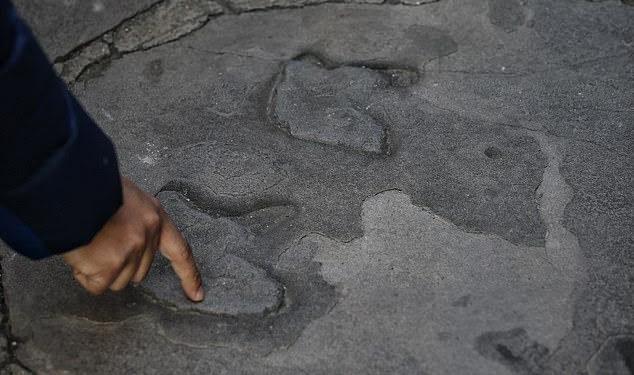 Çin’de Jurassic Dönemine Ait Sayısız Dinozor Ayak İzi Bulundu