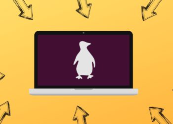 Yeni Linux Açığı VPN Bağlantılara Saldırıyor