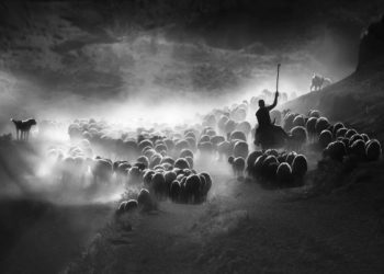 Sony Dünya Fotoğraf Ödülleri Türkiye Ulusal Ödülünü Kazanan İsim Belli Oldu