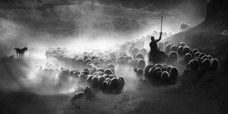 Sony Dünya Fotoğraf Ödülleri Türkiye Ulusal Ödülünü Kazanan İsim Belli Oldu