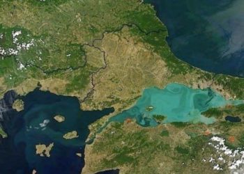 TEMA Vakfı: Kanal İstanbul Projesi’nin ÇED Olumlu Kararını Uygun Bulmuyoruz