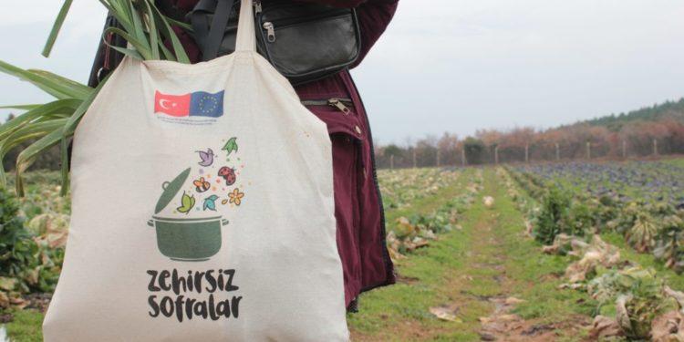 Çiftçi Uyarıyor: “Otu, Böceği Öldüren; İnsanı da Öldürüyor.”