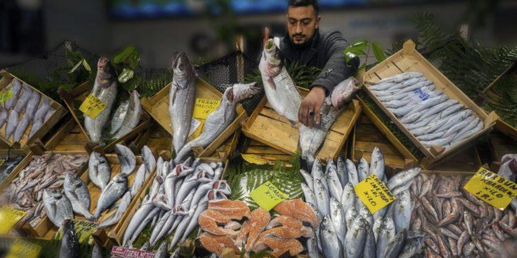 Balık Fotoğrafı Yarışmasında Kazananlar Belli Oldu
