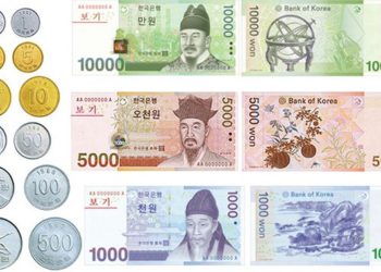 Güney Kore, Korona Virüsün Yayılmasını Önlemek için Banknotları Yakıyor