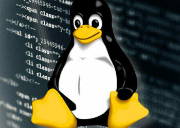 Kritik PPP Daemon Kusuru Linux Sistemlerini Uzak Hacker’lara Açıyor