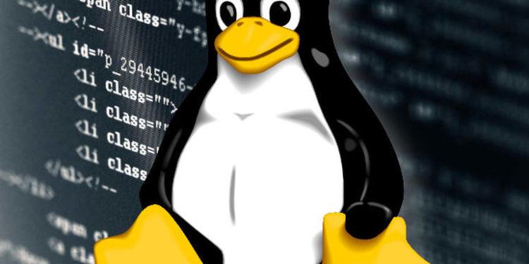 Kritik PPP Daemon Kusuru Linux Sistemlerini Uzak Hacker’lara Açıyor