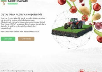 Tarım ve Orman Bakanlığı Dijital Tarım Pazarı (Ditap) Açtı