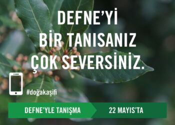 TEMA Vakfı, Uluslararası Biyoçeşitlilik Günü’nde Yeni Telefon Uygulaması ‘Doğa Kaşifi’ni Tanıttı