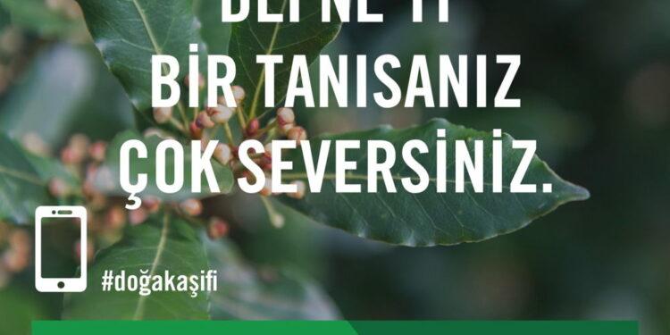TEMA Vakfı, Uluslararası Biyoçeşitlilik Günü’nde Yeni Telefon Uygulaması ‘Doğa Kaşifi’ni Tanıttı
