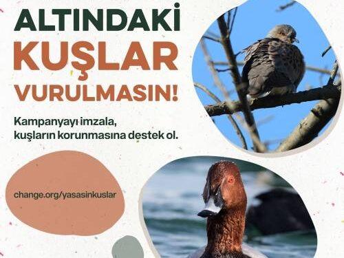 Dünya Biyolojik Çeşitlilik Günü’nde Doğa Severlerden Çağrı