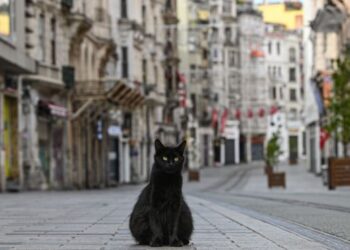 İBB Bilim Kurulu: “Normalleşme Adımları Bayramdan Sonraya Kalsın”