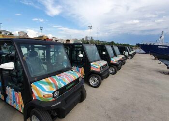 Adalar Kaymakamlığı da Elektrikli Araç İstemişti