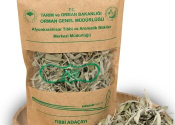 Orman Ürünleri E-ticarete Taşındı