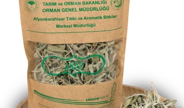 Orman Ürünleri E-ticarete Taşındı