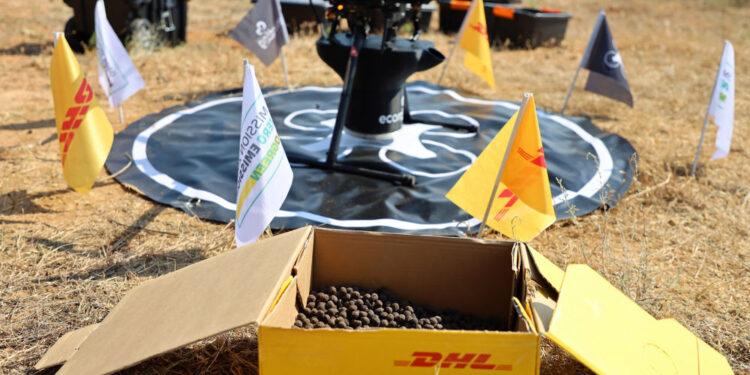 DHL Ormanı Yeni Tohumlarla Büyüyor