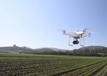 DJI Dron Tarım Alanlarının Kullanımı ve Bitki Sağlığı İçin Veri Sağlıyor