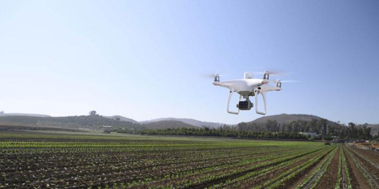 DJI Dron Tarım Alanlarının Kullanımı ve Bitki Sağlığı İçin Veri Sağlıyor
