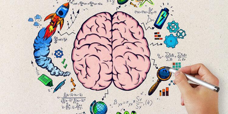 University4Society Girişimcilik Programı Dünyaya Açıldı