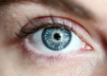 Fransız Essilor ile Çinli Tencent Göz Sağlığı İçin İş Birliği Yaptı