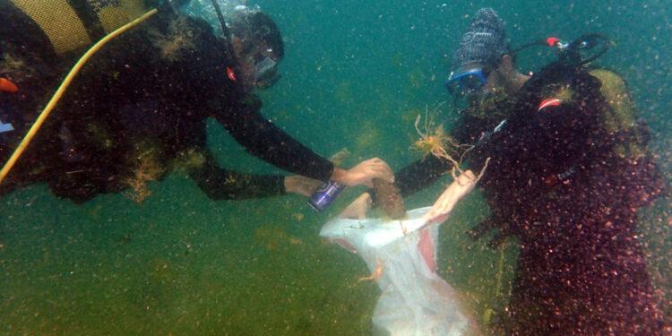 İnsansız Tekne ‘Doris’ Deniz Üstünden, Balıkadamlar Denizaltından Çöp Topladı