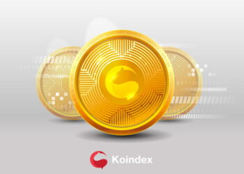 Kripto Para Piyasası, Yerel Kripto Para Birimi KOIN İle Tanışıyor