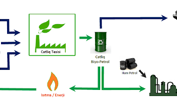İBB, Organik Atıkları Kaynağında Ayrıştırarak Enerji Üretecek