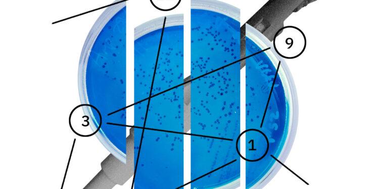 IBM Research, 5 yılda 5 Önemli Alandaki Keşiflerini Hızlandıracak