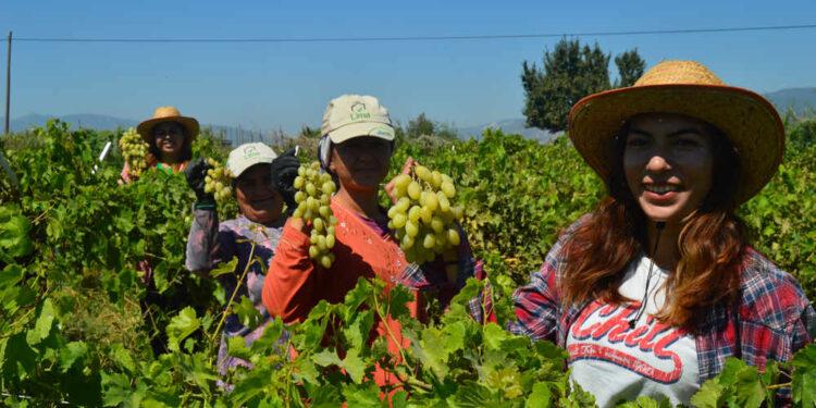 62 Milyon $’lık Türkiye Tarım Sektörü TABİT Akıllı Tarım Teknolojilerini Kullanacak